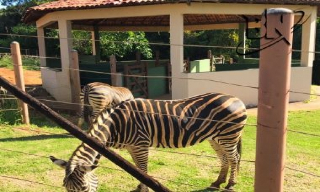 Governo publica licitao para concesso do Zoolgico de Salvador; prazo ser de 30 anos